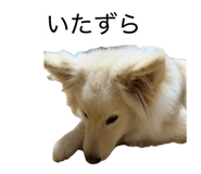 841312845