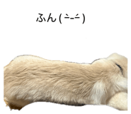 841312846