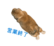 841312884