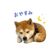 841313205