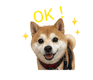 841313206