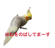841313310