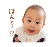 841313380