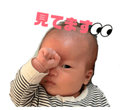 841313411
