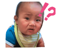 841313636