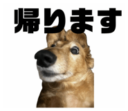 841313676