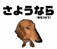 841313677