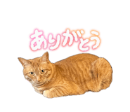 841314239