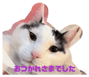 841314690
