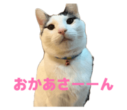 841314692