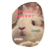 841314831