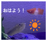 841314855