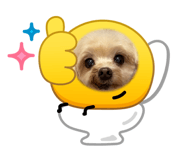 841315043