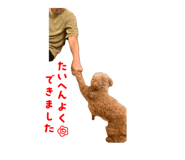 841315068