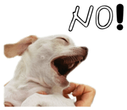 841315090