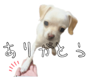 841315091