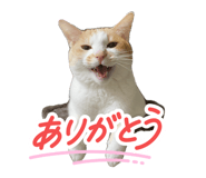 841315299