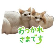 841315302