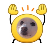 841315334