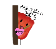 841315556
