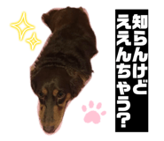 841316024