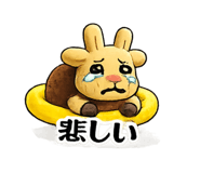 841316062