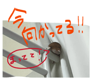 841316162