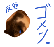841316165