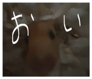 841316171
