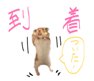 841316178
