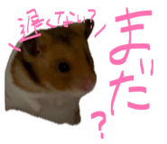 841316180
