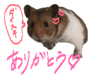 841316182