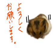 841316183