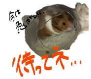 841316186