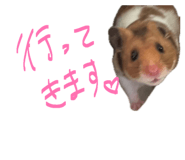 841316187