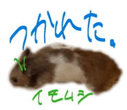 841316191