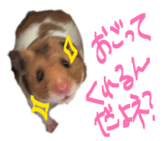 841316199