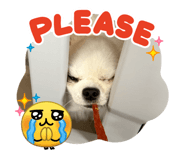 841316225