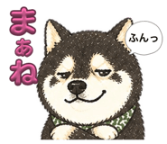 841316330