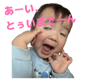 841316444