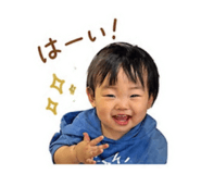 841316627