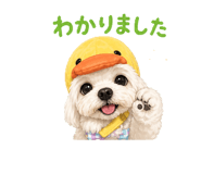841316843