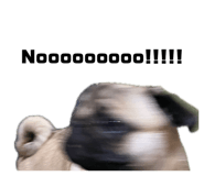 841316885