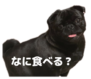 841316891