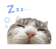 841316988
