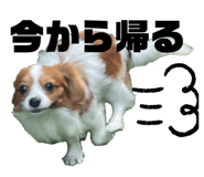 841317045