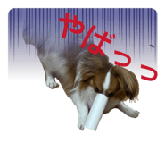 841317047