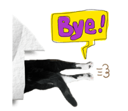 841317143