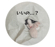 841317150