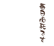 841317344